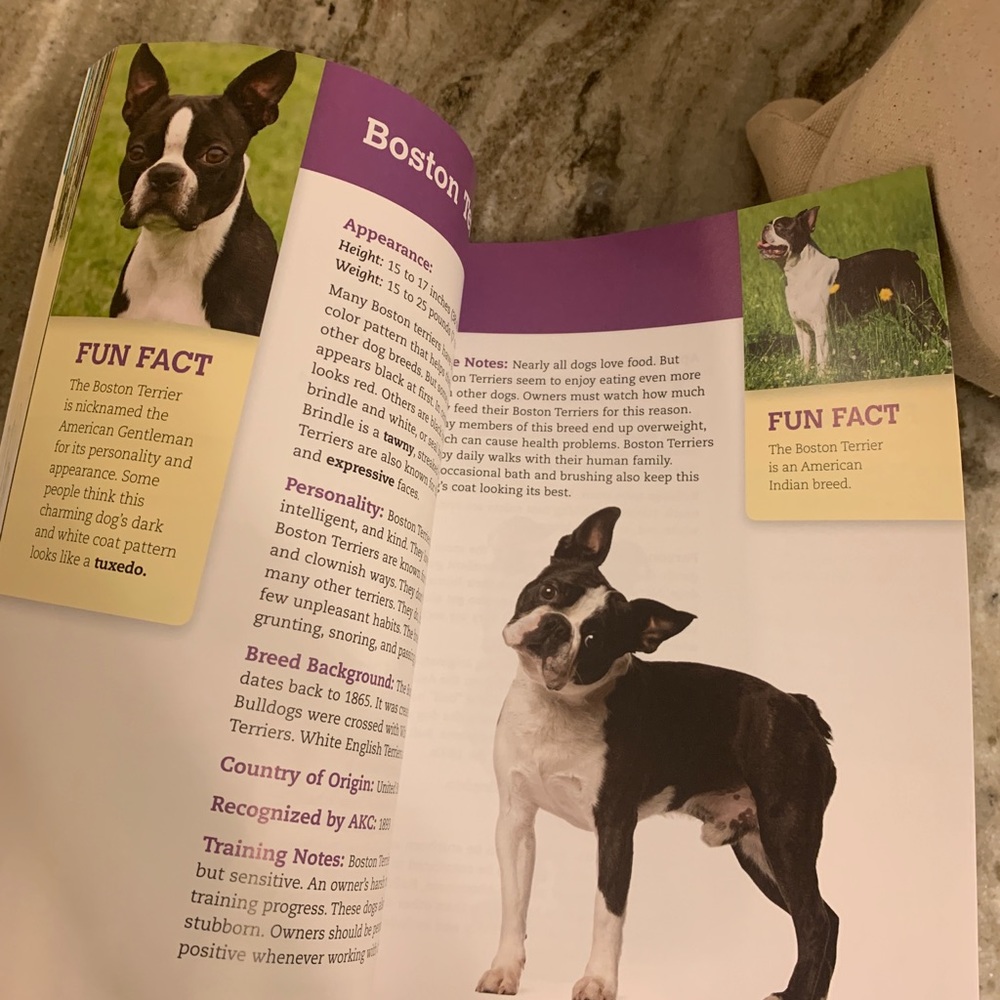 *Dogs encyclopedia book - Picture 5 of 10